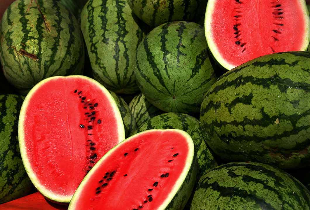 Striped watermelon in the field